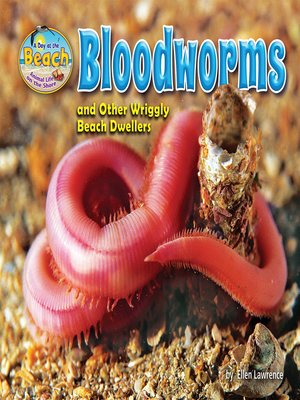cover image of Bloodworms and Other Wriggly Beach Dwellers